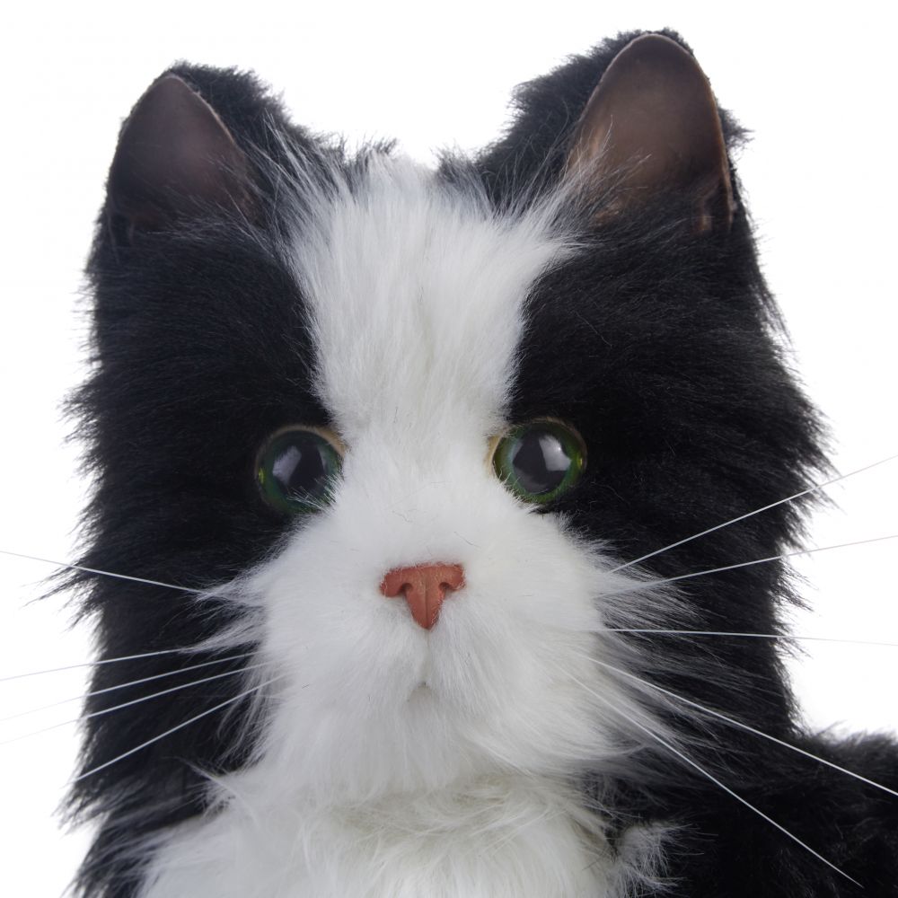 Interactive Companion Pet Tuxedo Cat