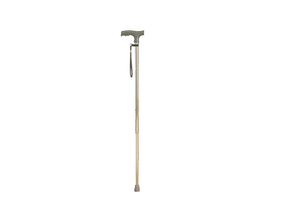 T Handle Walking Stick - ONLINE ONLY ITEM